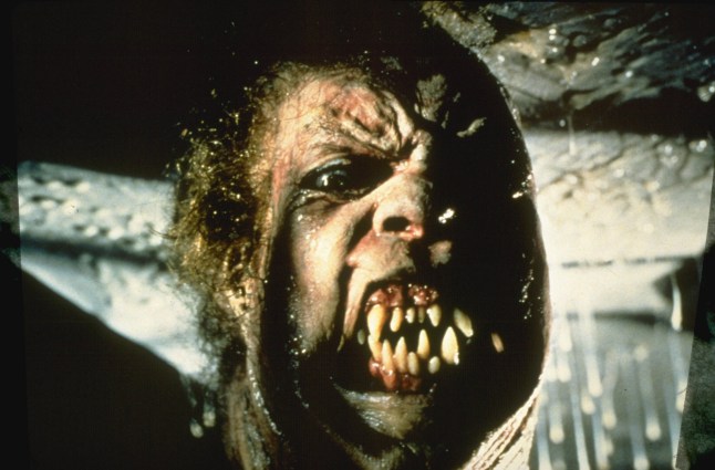 Editorial use only. No book cover usage. Mandatory Credit: Photo by Universal/Kobal/Shutterstock (5883390l) The Thing (1982) The Thing - 1982 Director: John Carpenter Universal USA Scene Still Drama